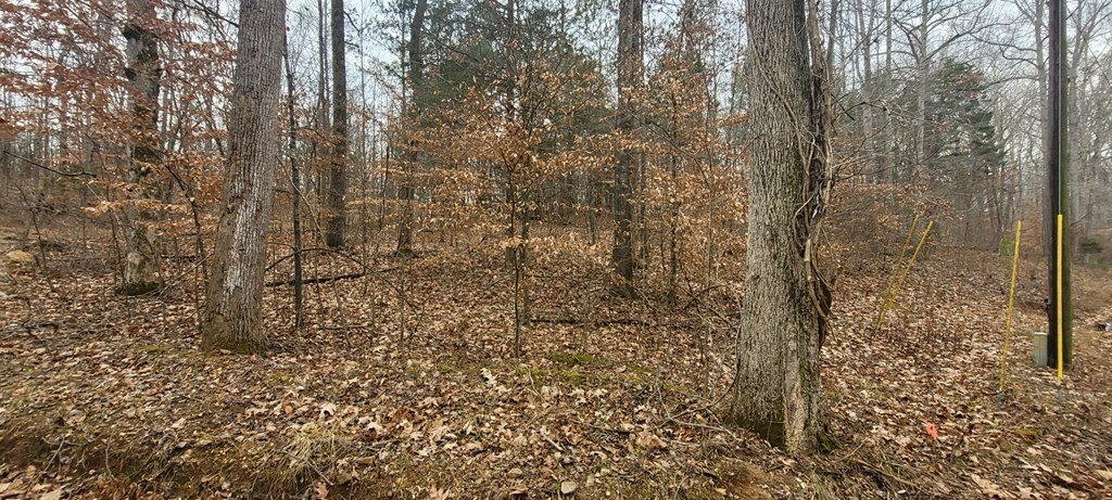Picture 4