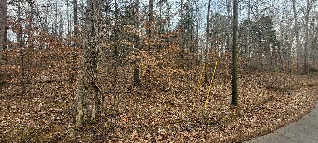 Picture 7