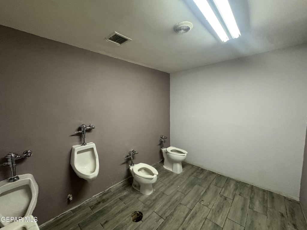 Picture 16
