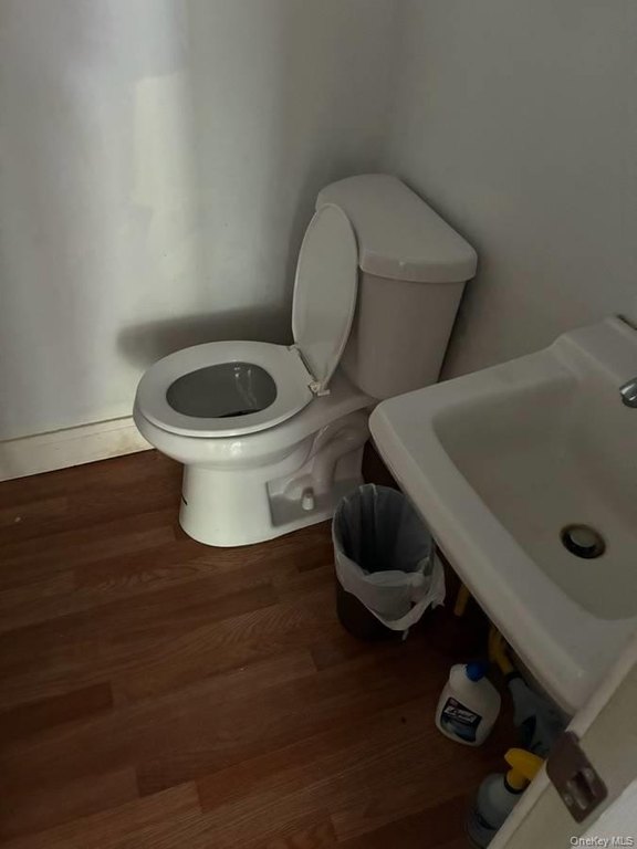 Picture 8