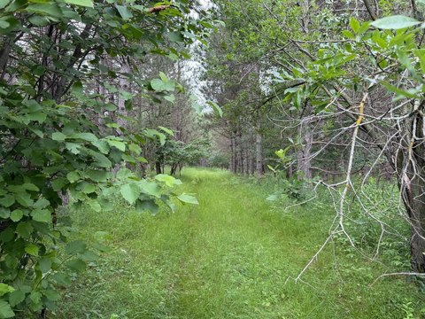 Recreational Hunting Acreage