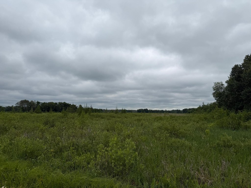 Picture 25