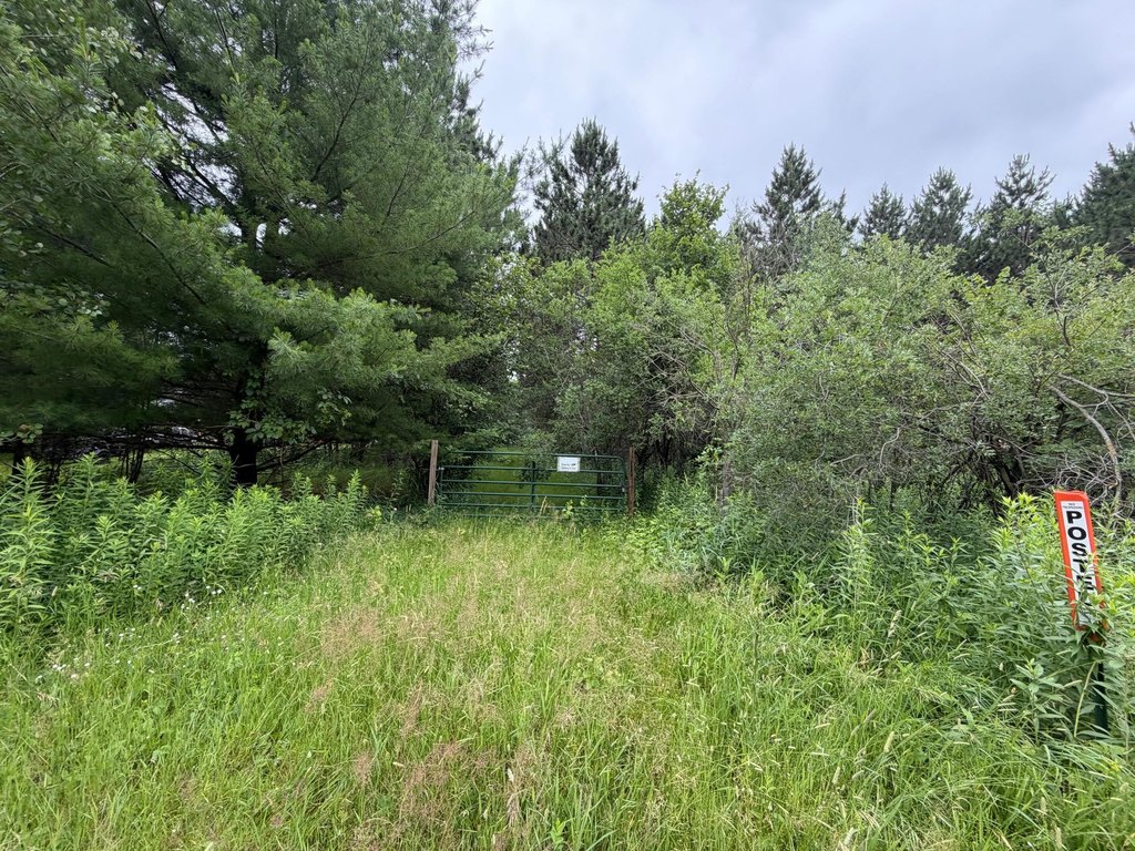 Picture 20