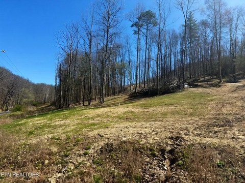 LaFollette, TN Land Opportunity