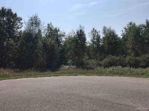 VACANT LAND, Florence T-WI, WI