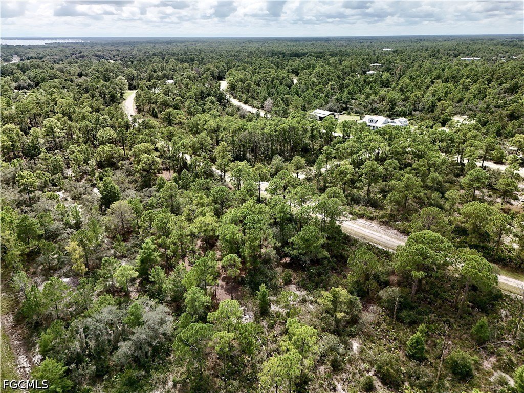 Picture 25