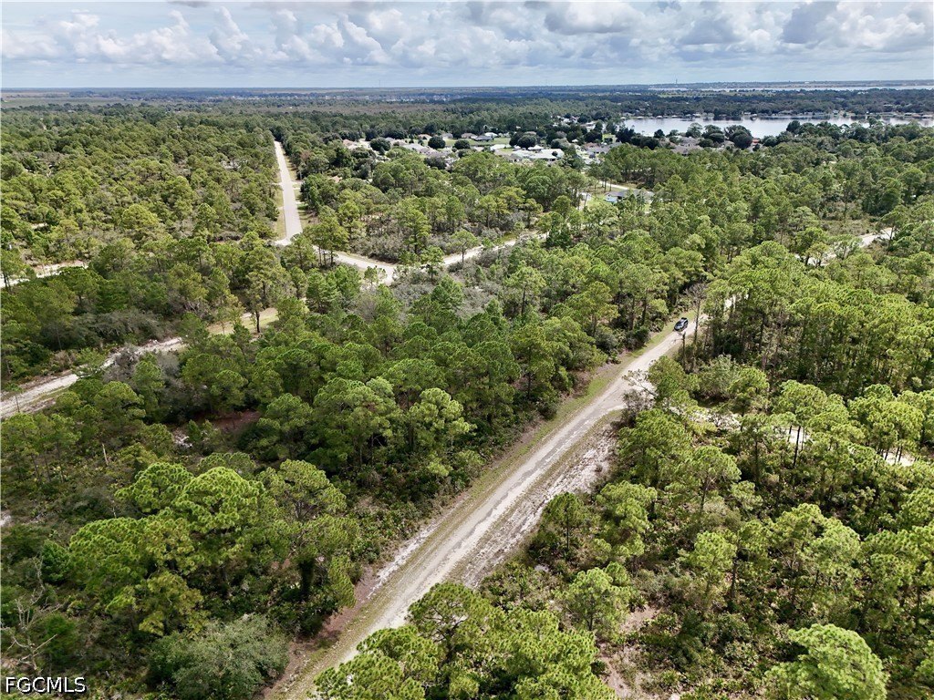 Picture 27