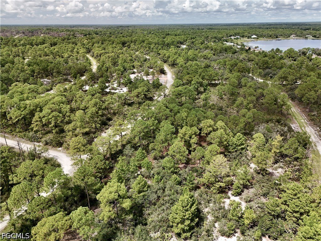 Picture 21