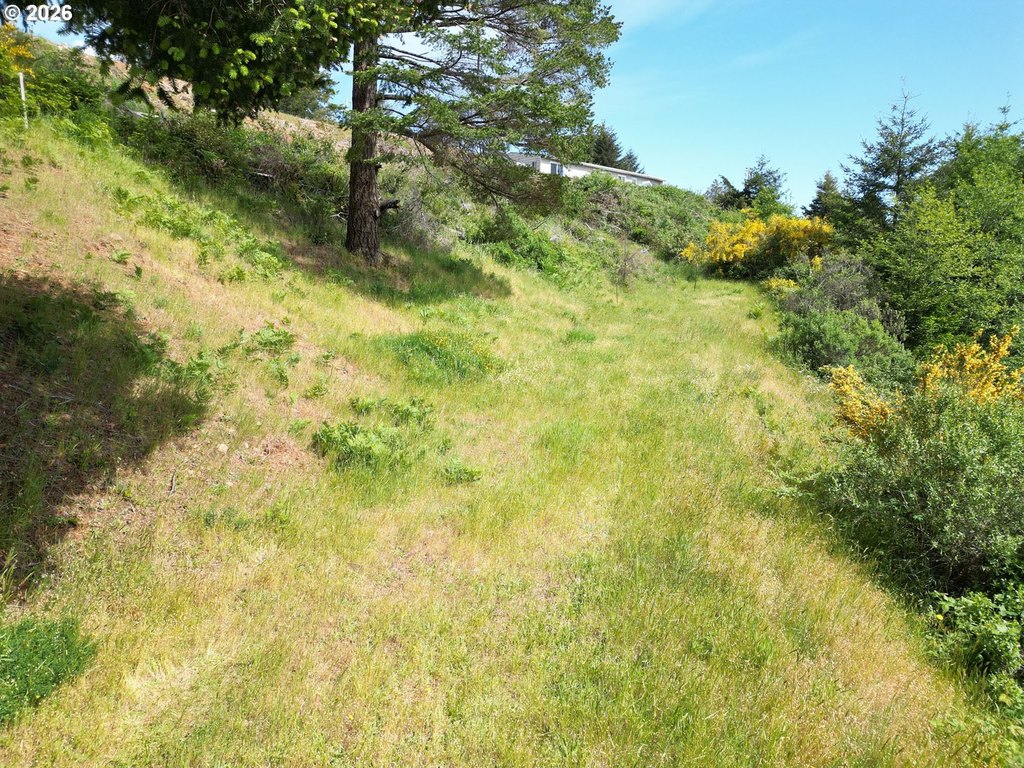 Picture 4