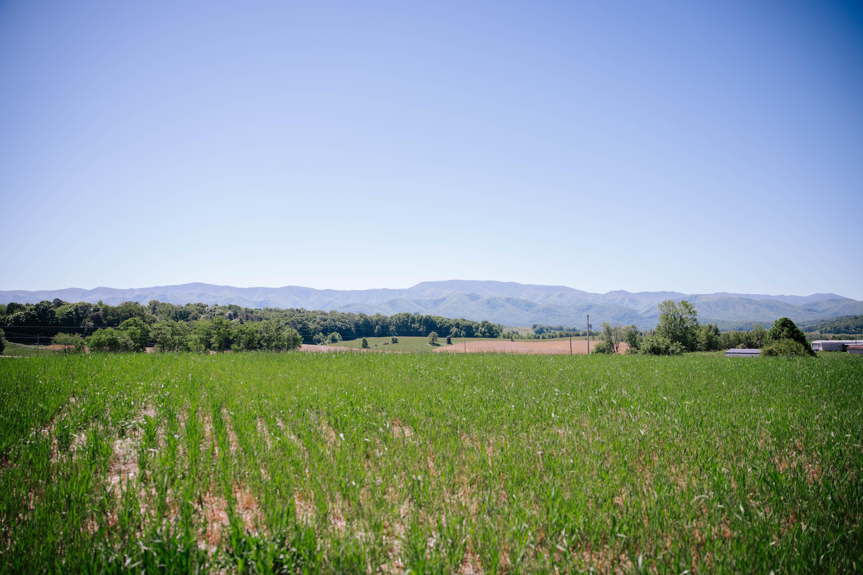 32.88 Acres of Tennessee Land