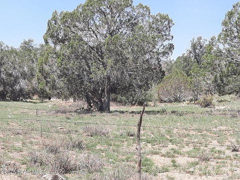 160 Acres Hunting Property