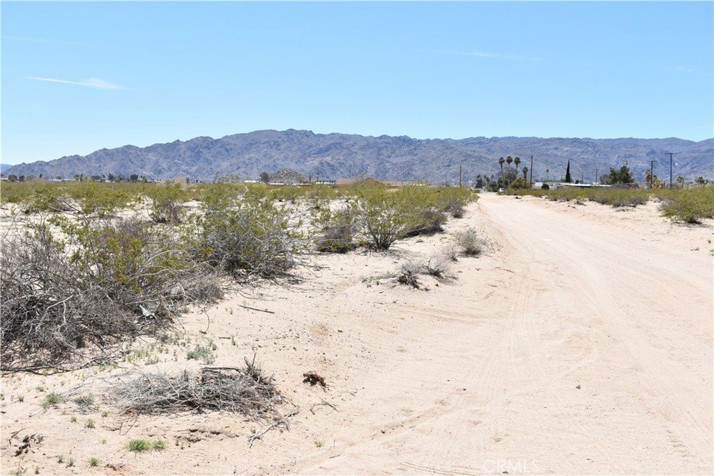 Picture 19