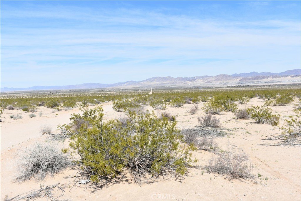 Picture 28