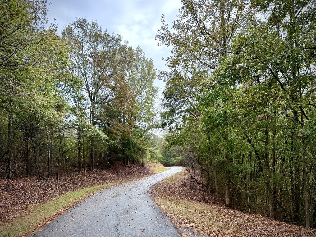 9 Acres Vacant Land