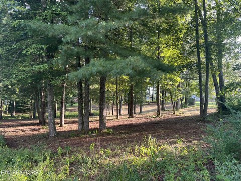 Residential Lot in Crossville, TN