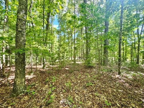 Residential Land in Murphy, NC