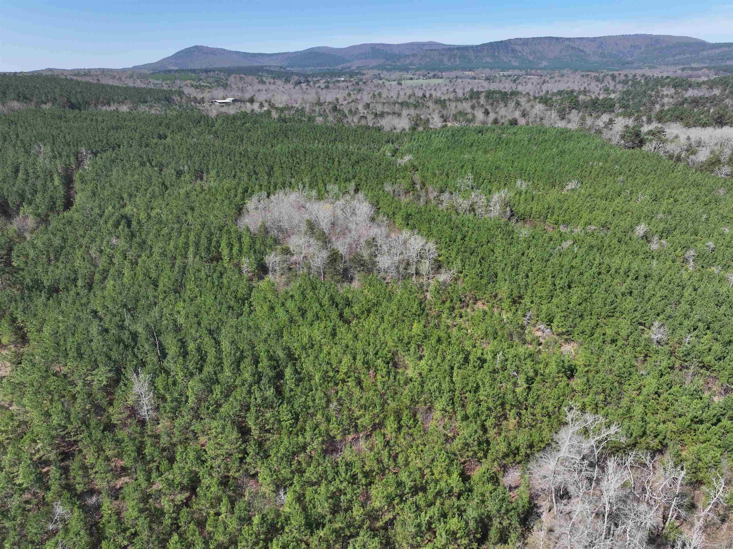 Mena, AR Land For Sale