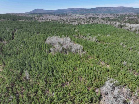 Mena, AR Land For Sale