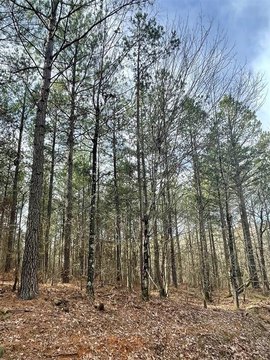 LAND - Broken Bow, OK