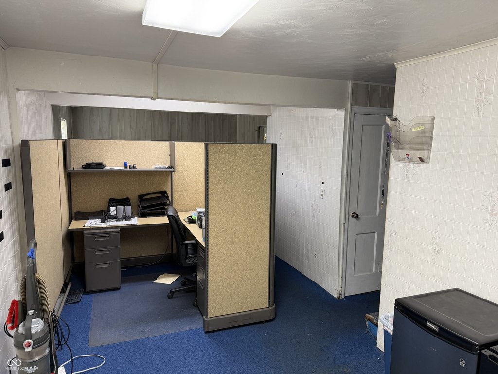 Picture 6