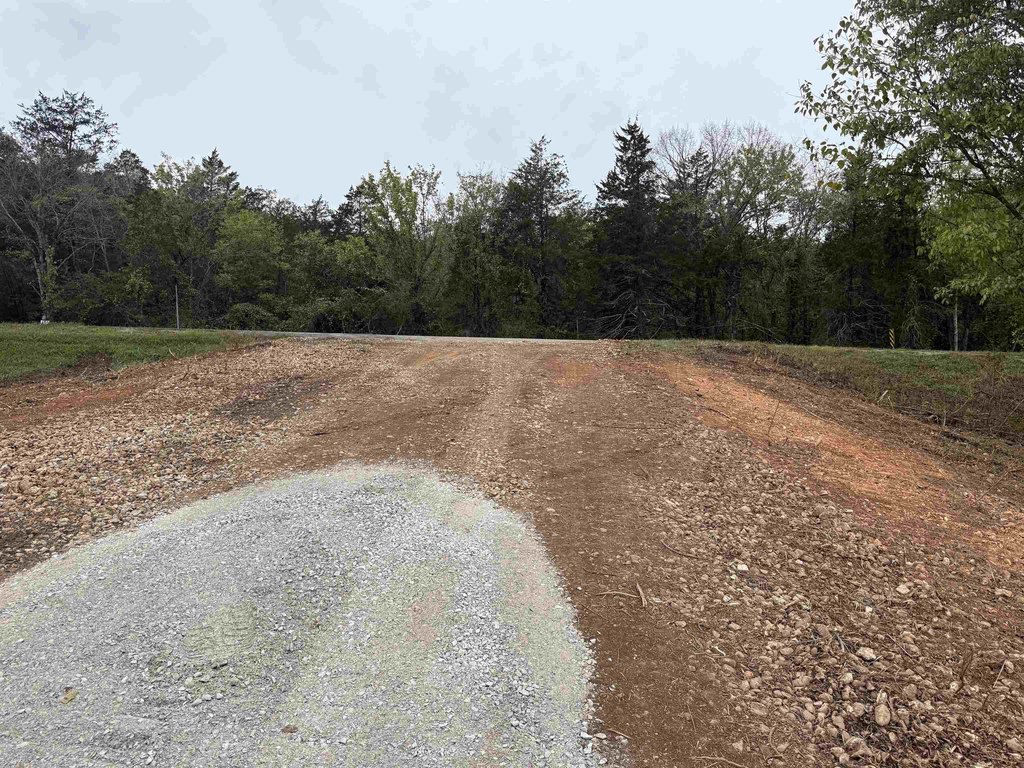 Picture 18