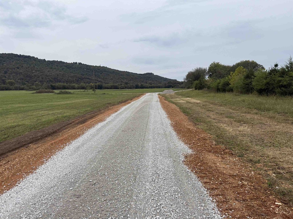 Picture 16