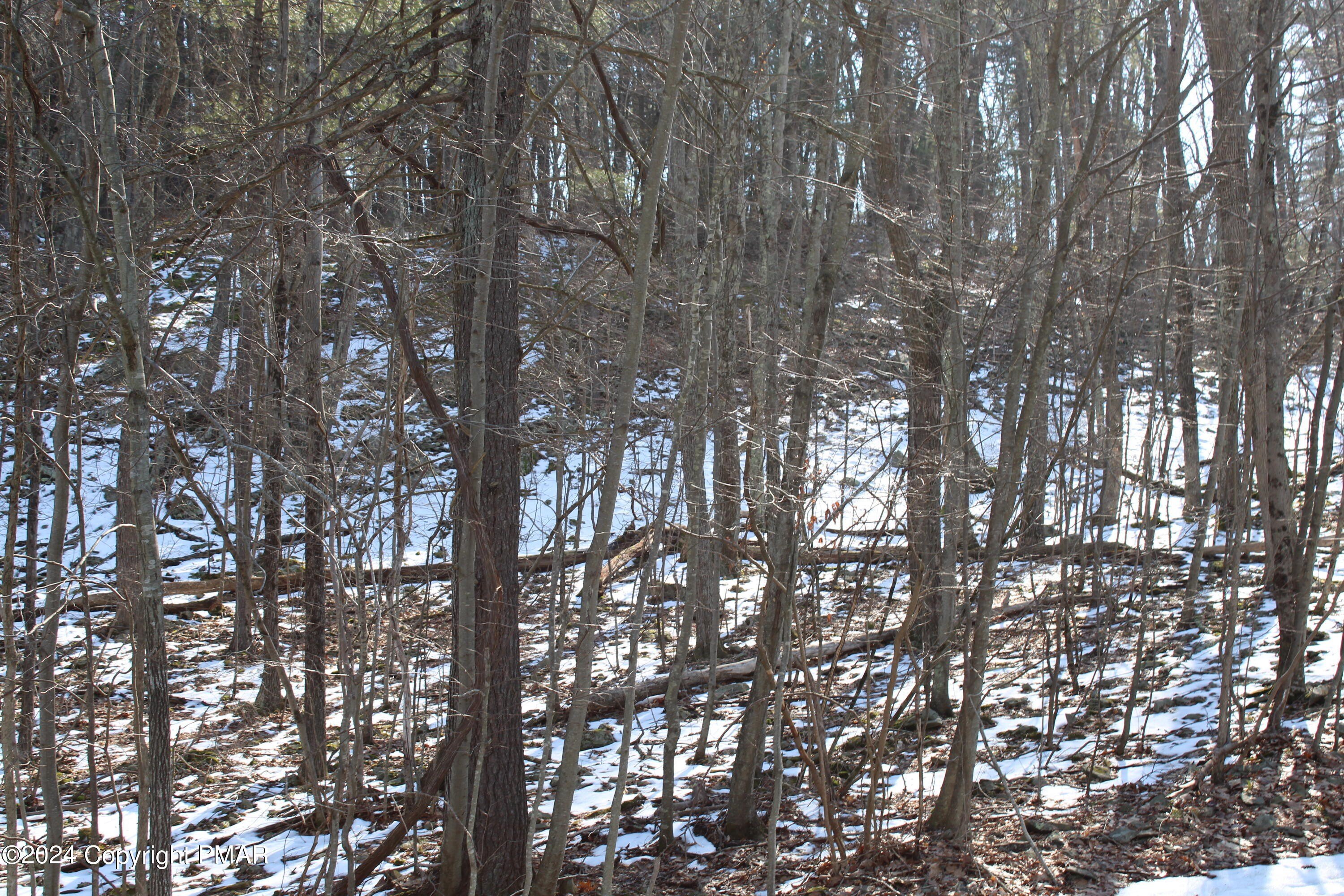East Stroudsburg Wooded Land Parcel
