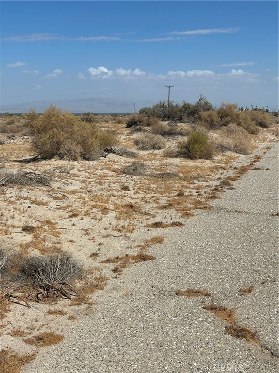 Picture 4