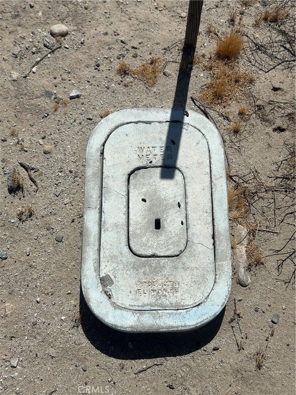 Picture 5