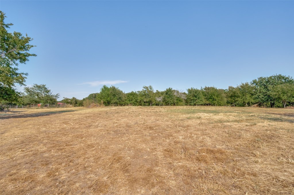 Picture 23