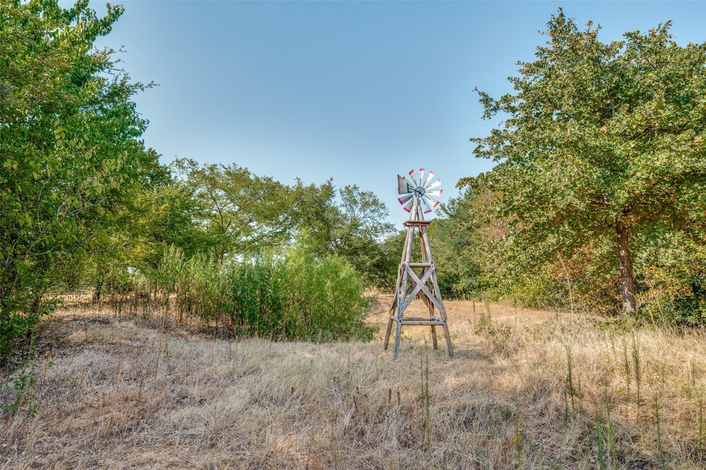 Picture 20