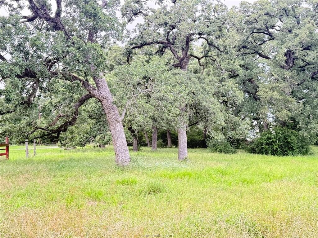 Picture 34