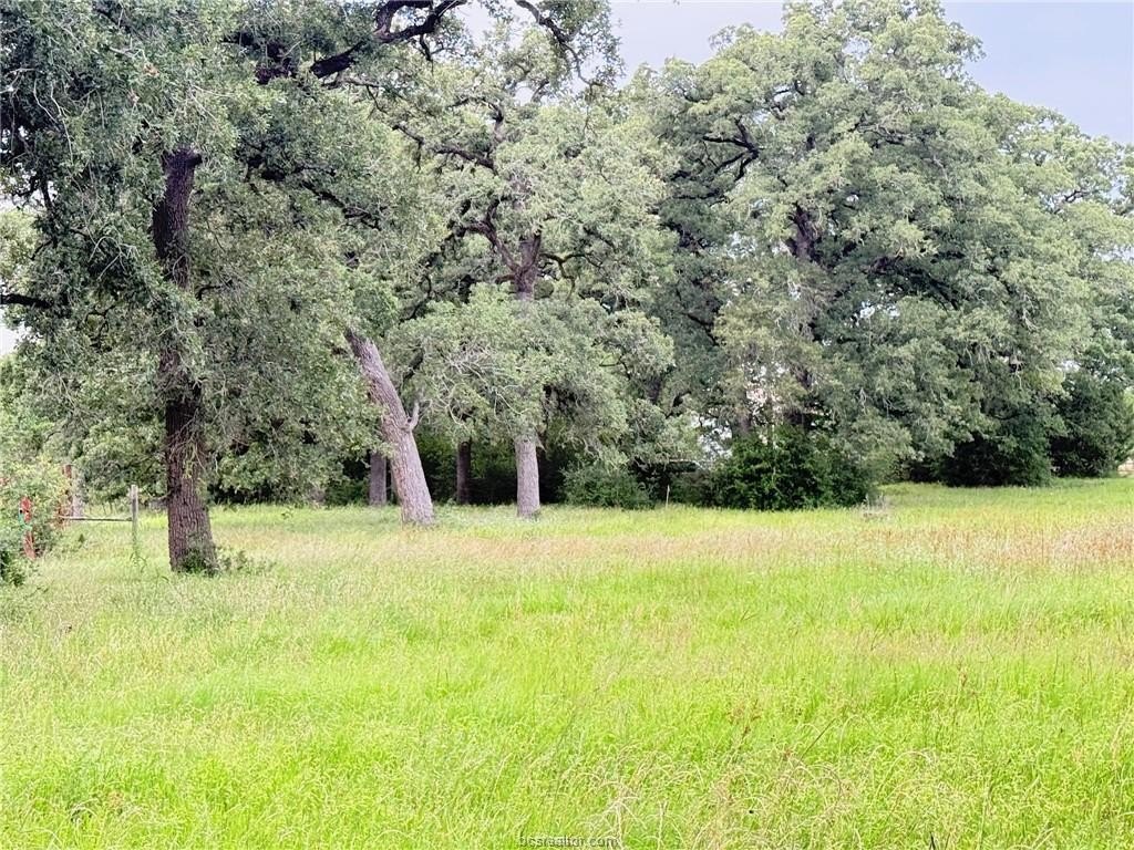 Picture 33