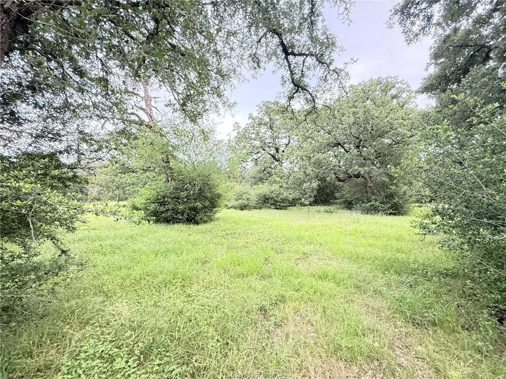 Picture 31