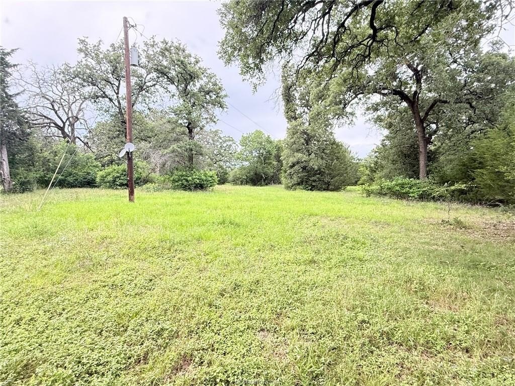 Picture 24
