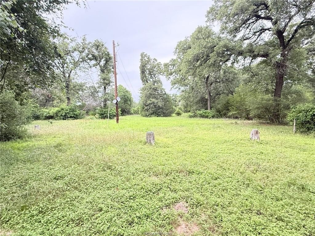Picture 23