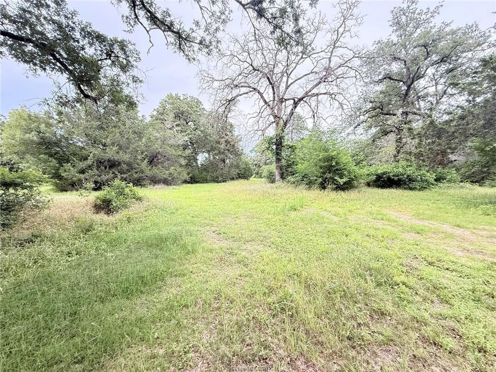 Picture 18