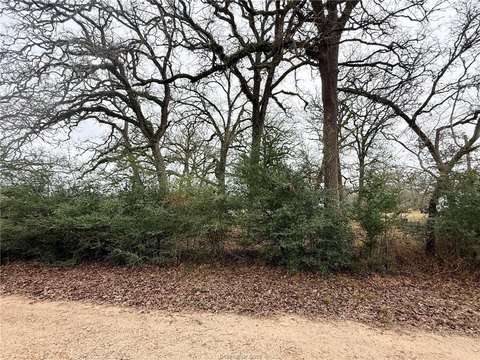 Unrestricted Land with Pond in Bryan