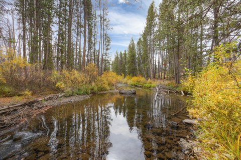 Land, Sawtooth City, ID