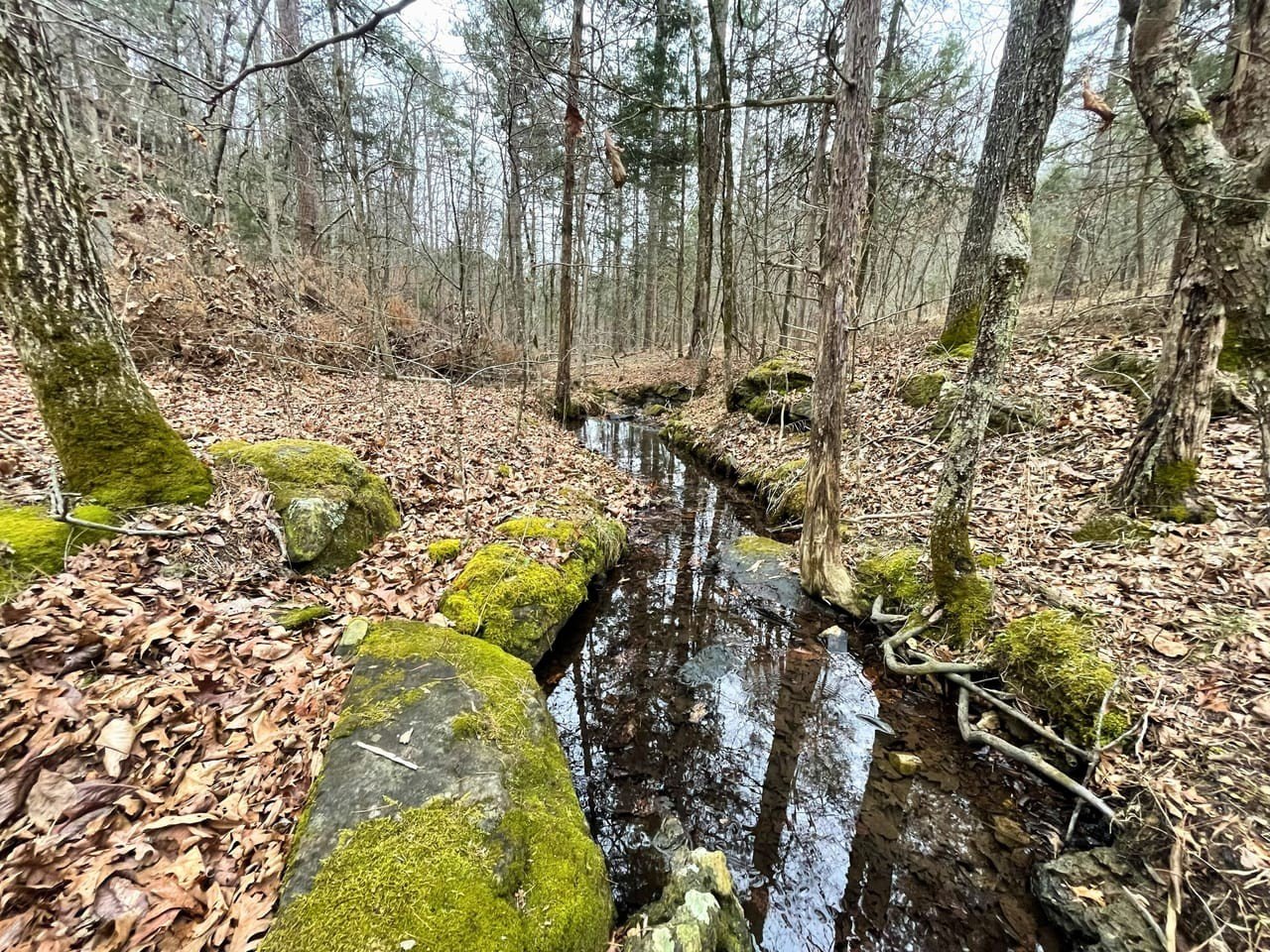 300 Acres Hunting Paradise
