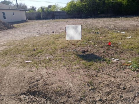 LAND - Alamo, TX
