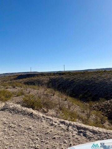 Picture 21
