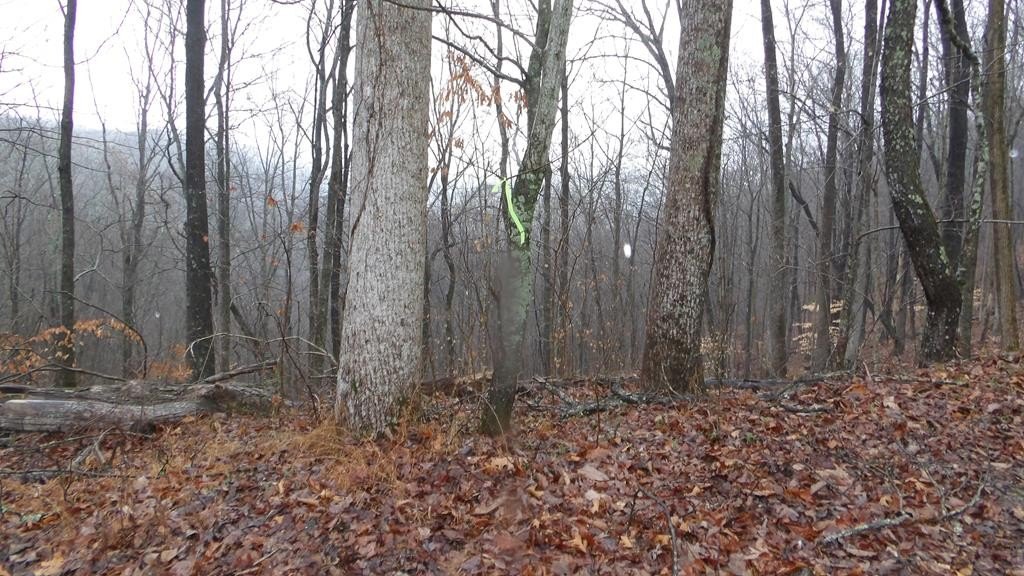 Smithville Land Near Center Hill