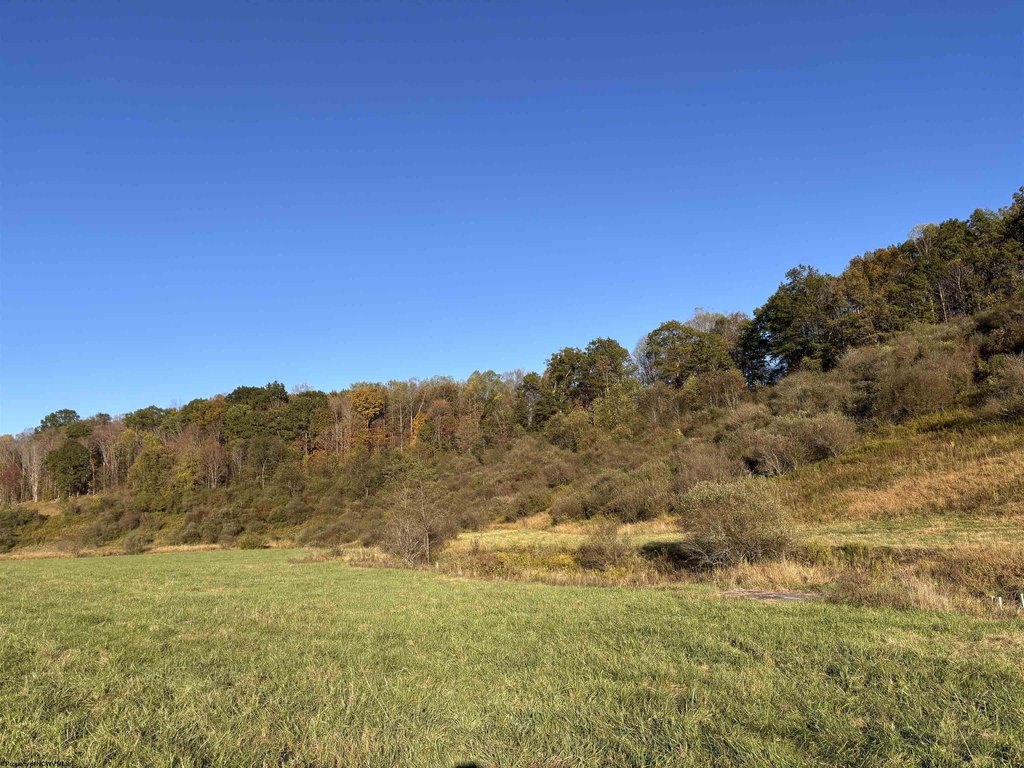 Picture 28