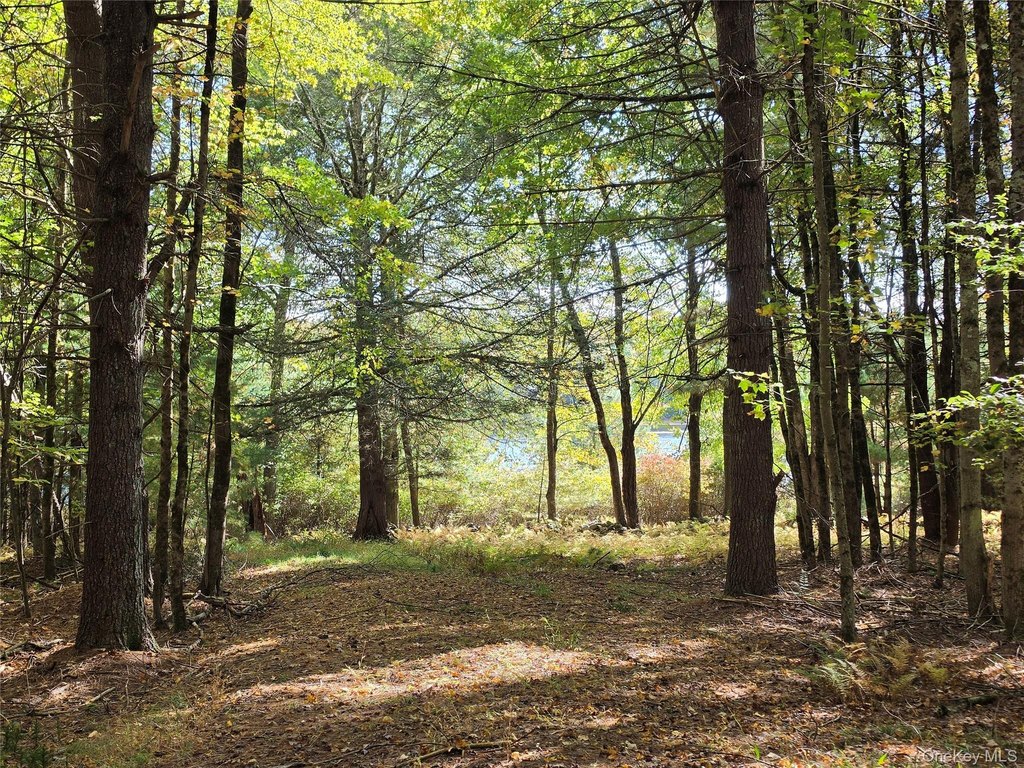 Picture 23
