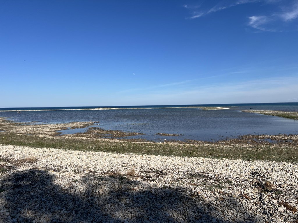 Picture 20