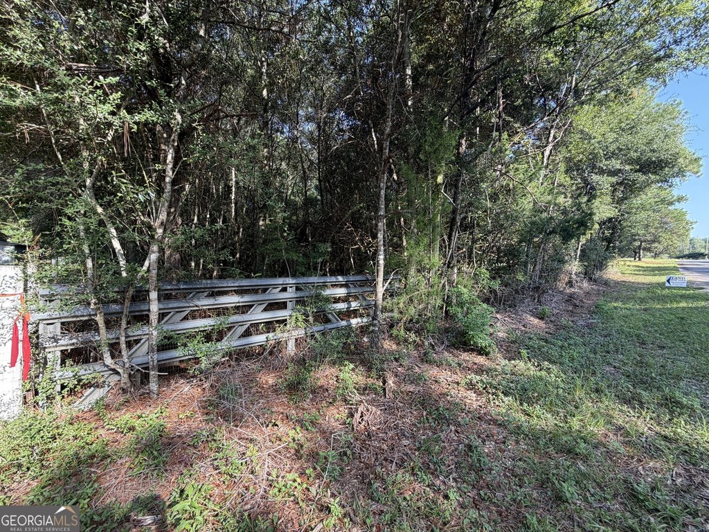 Picture 17