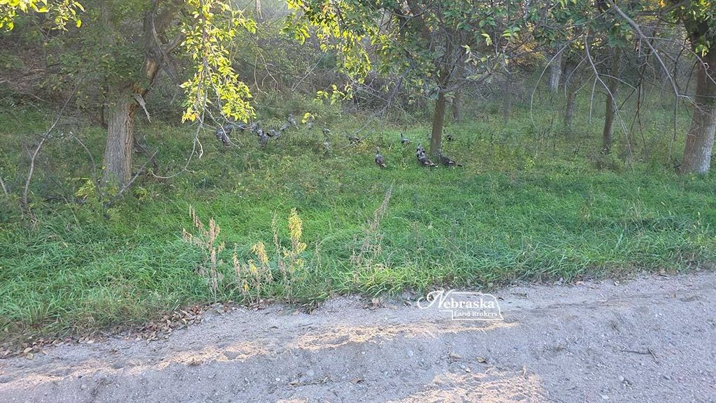 Picture 24