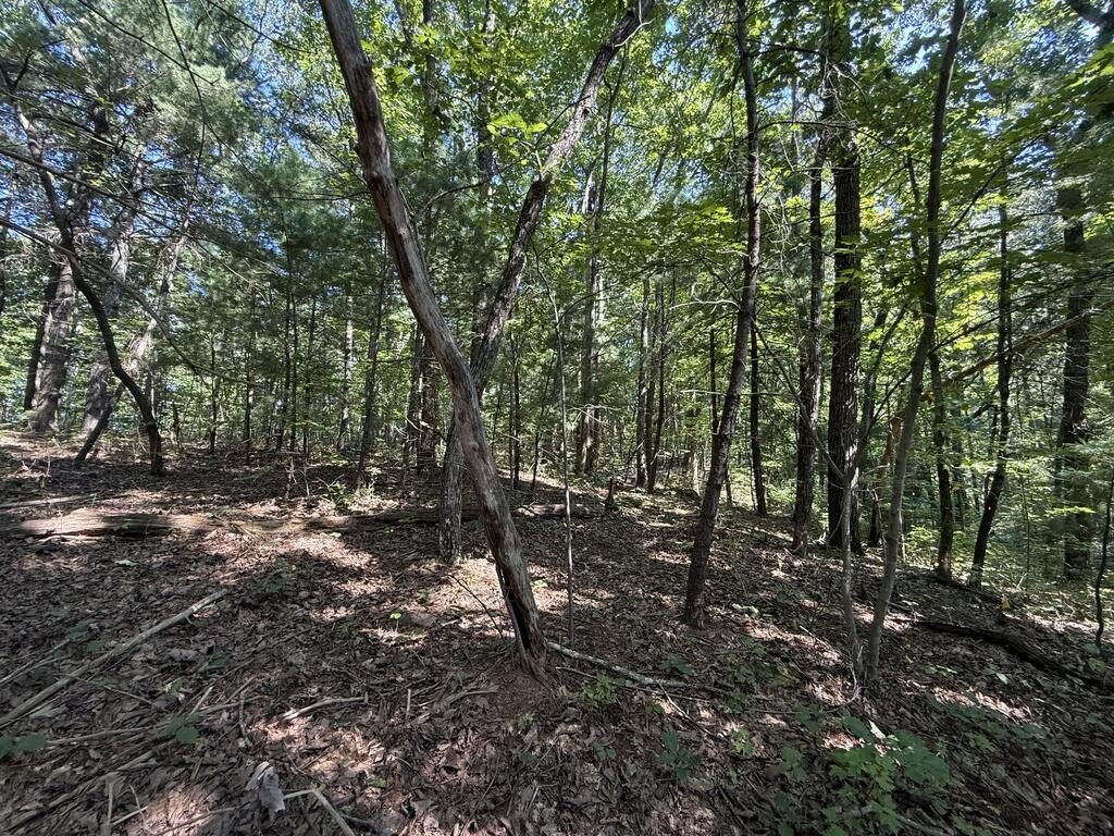 Picture 18