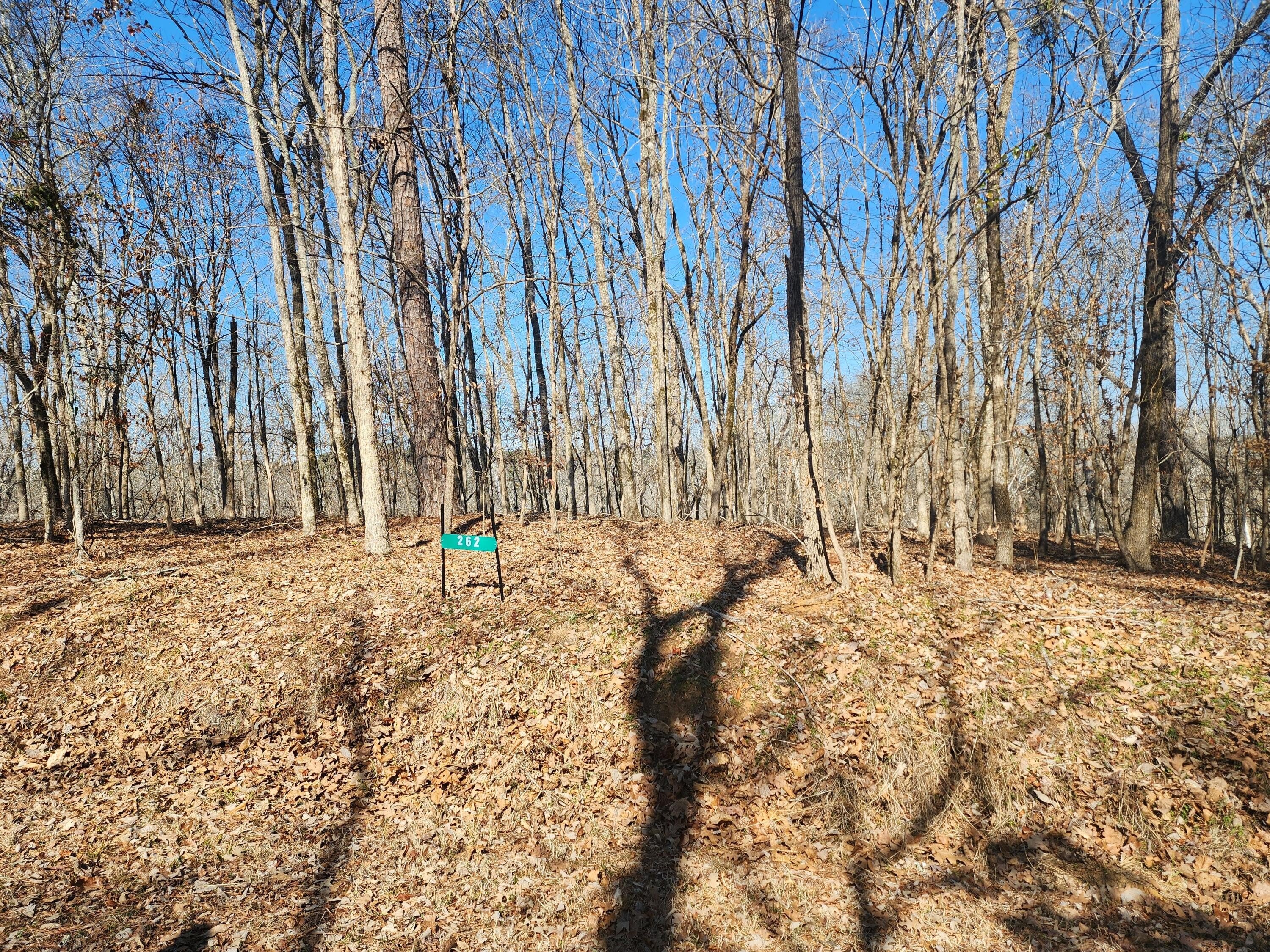 Land in Clarks Hill, SC